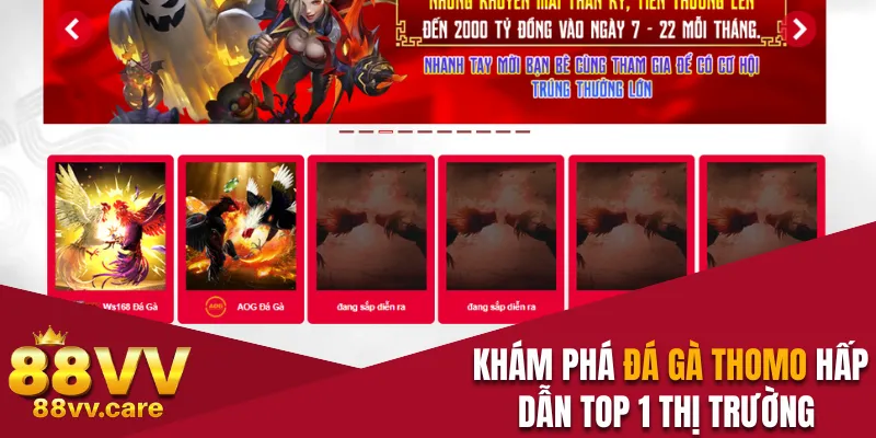 Đá Gà Thomo - Quy Luật Chọi Kê Đơn Giản Dành Cho Newbie 2 Khám phá đá gà Thomo hấp dẫn top 1 thị trường