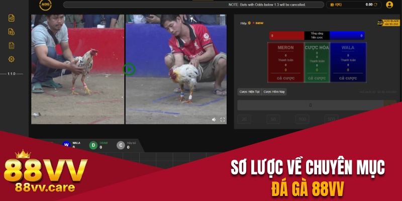 Đá Gà 88VV – Sàn Đấu Nảy Lửa Của Các Chiến Kê Oai Hùng 1 Sơ lược về chuyên mục đá gà 88VV